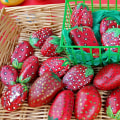 Experience the Fun of the Floral City Strawberry Festival