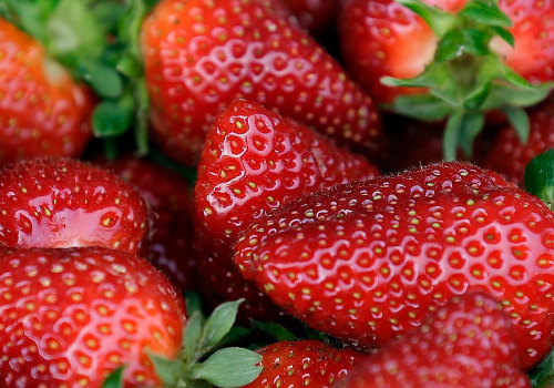 Discounts for Students to Attend the Cape Coral Strawberry Fest