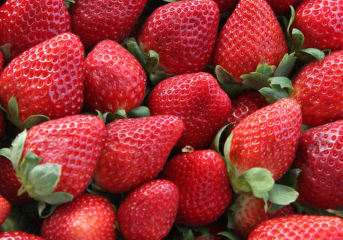 Experience the Fun and Learning at the Cape Coral Strawberry Fest